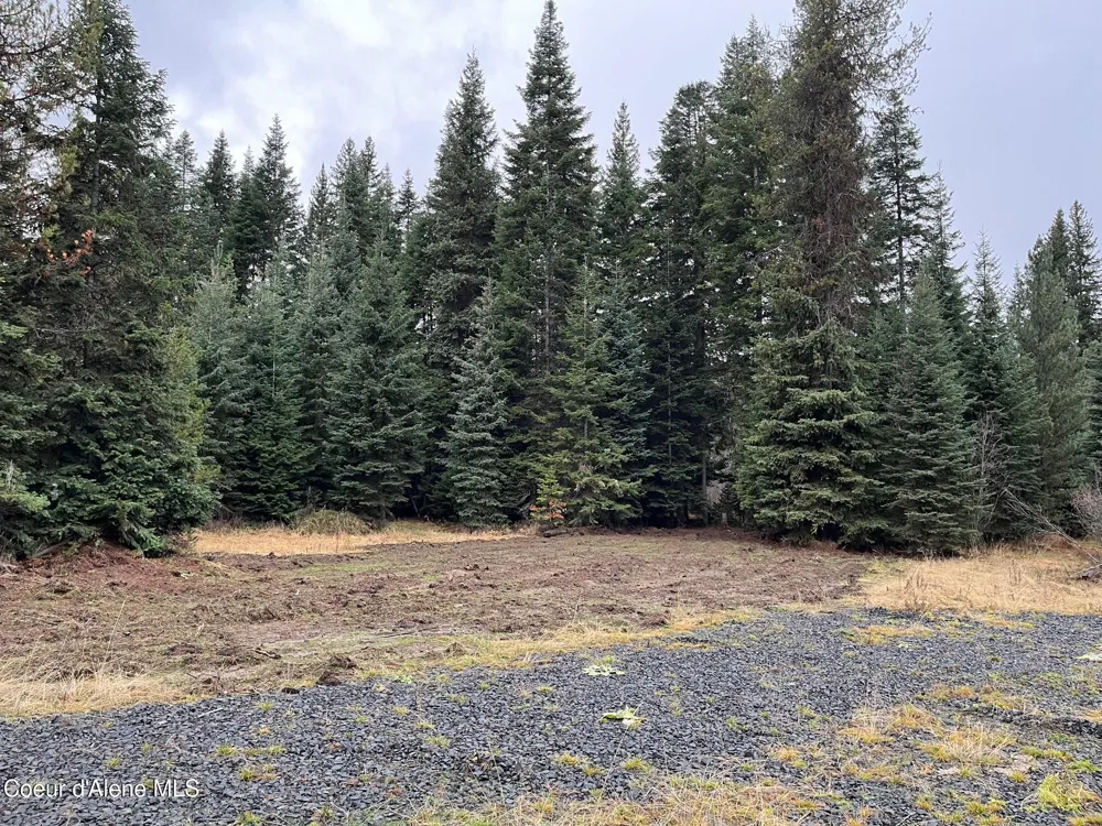 Tyson Creek Rd Santa, ID 83866