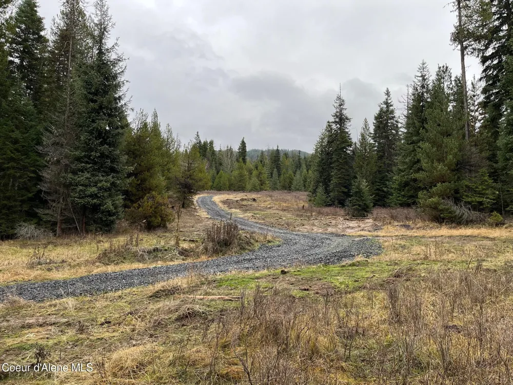 Tyson Creek Rd Santa, ID 83866