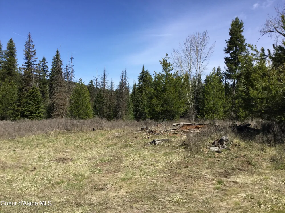 Tyson Creek Rd Santa, ID 83866