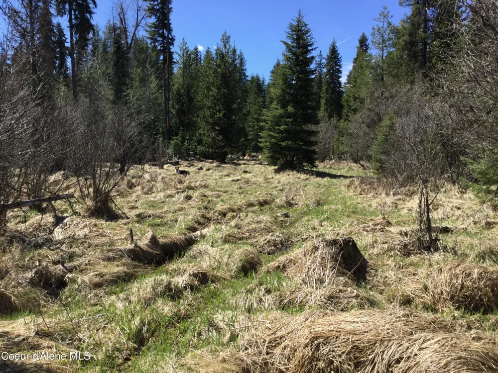 Tyson Creek Rd Santa, ID 83866