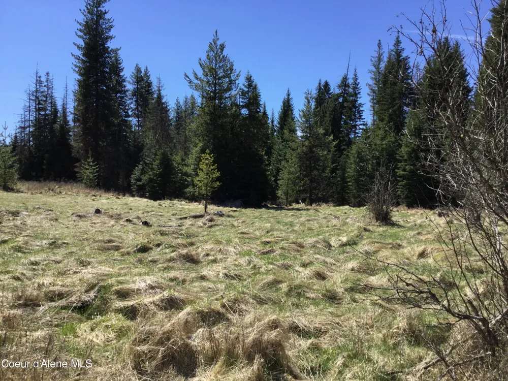 Tyson Creek Rd Santa, ID 83866