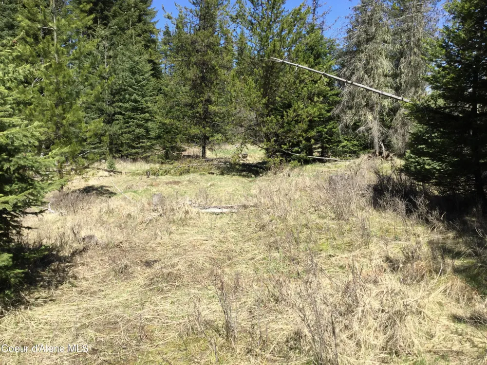 Tyson Creek Rd Santa, ID 83866