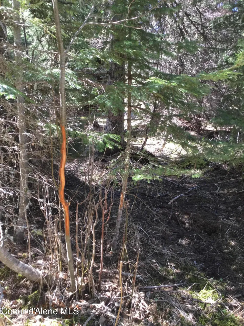 Tyson Creek Rd Santa, ID 83866