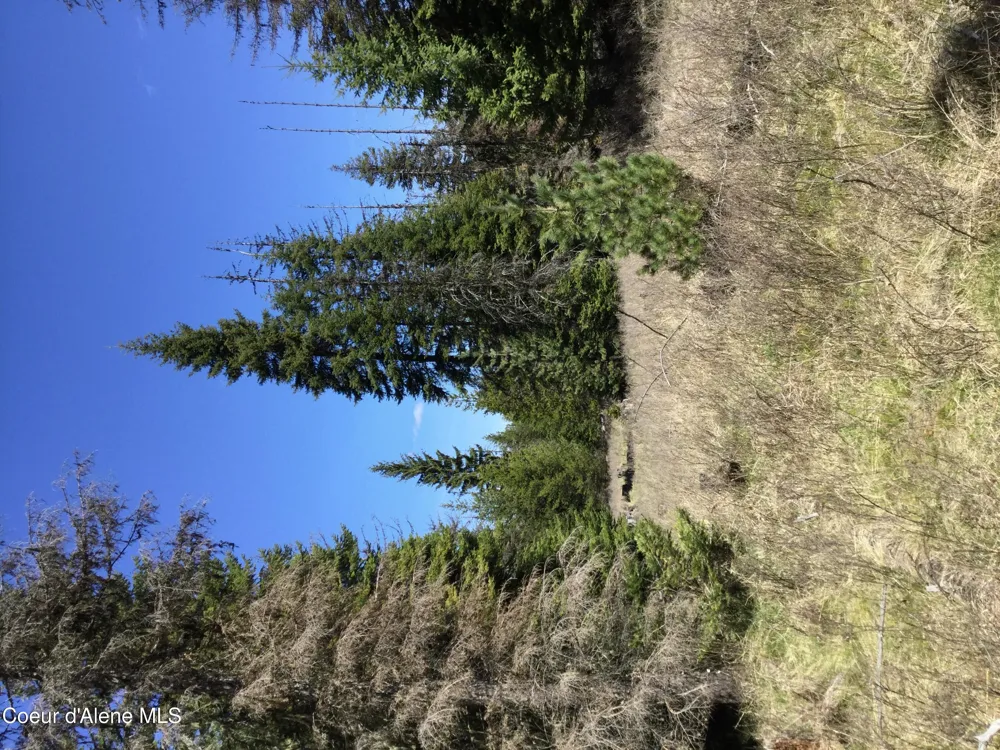 Tyson Creek Rd Santa, ID 83866
