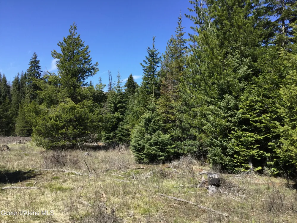 Tyson Creek Rd Santa, ID 83866