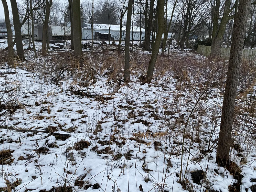 Address Not Shown Marcellus, MI 49067