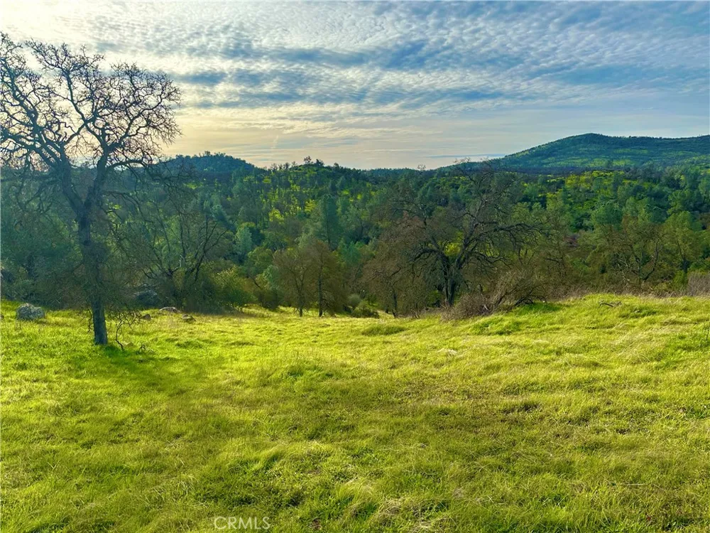 3224 Silver Bush Place Catheys Valley, CA 95306