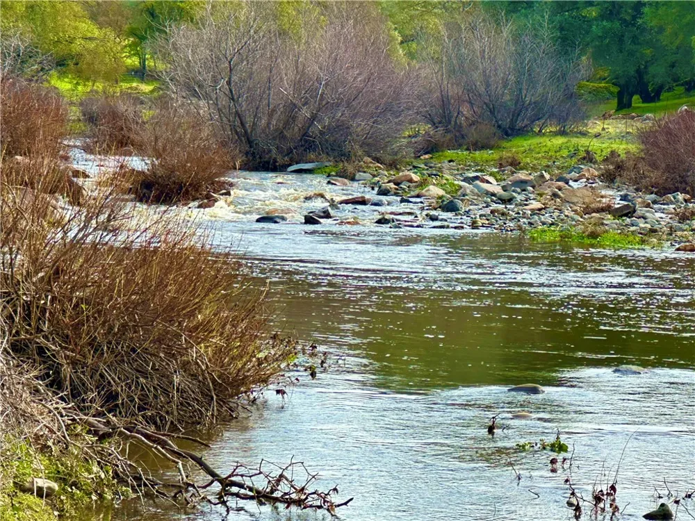 3224 Silver Bush Place Catheys Valley, CA 95306