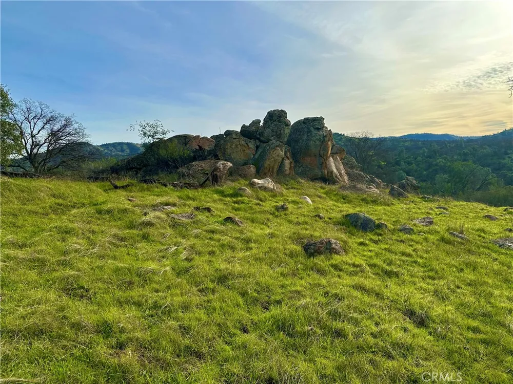 3224 Silver Bush Place Catheys Valley, CA 95306
