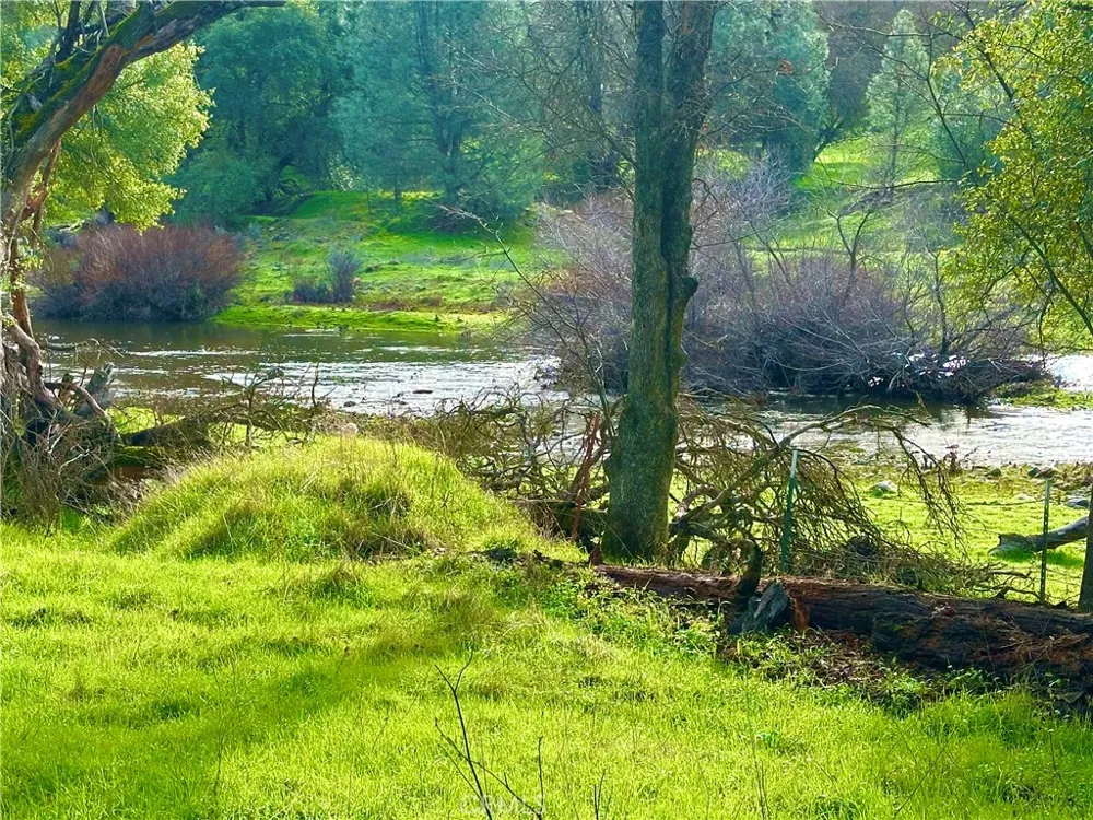 3224 Silver Bush Place Catheys Valley, CA 95306