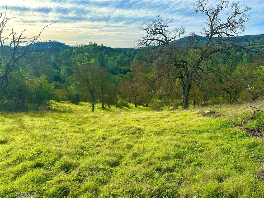 3224 Silver Bush Place Catheys Valley, CA 95306
