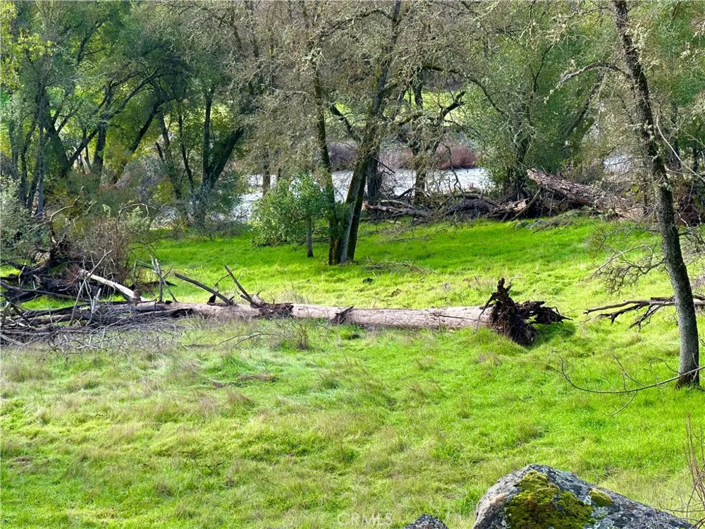 3224 Silver Bush Place Catheys Valley, CA 95306