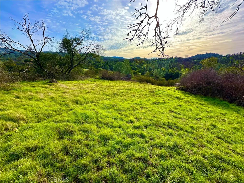 3224 Silver Bush Place Catheys Valley, CA 95306