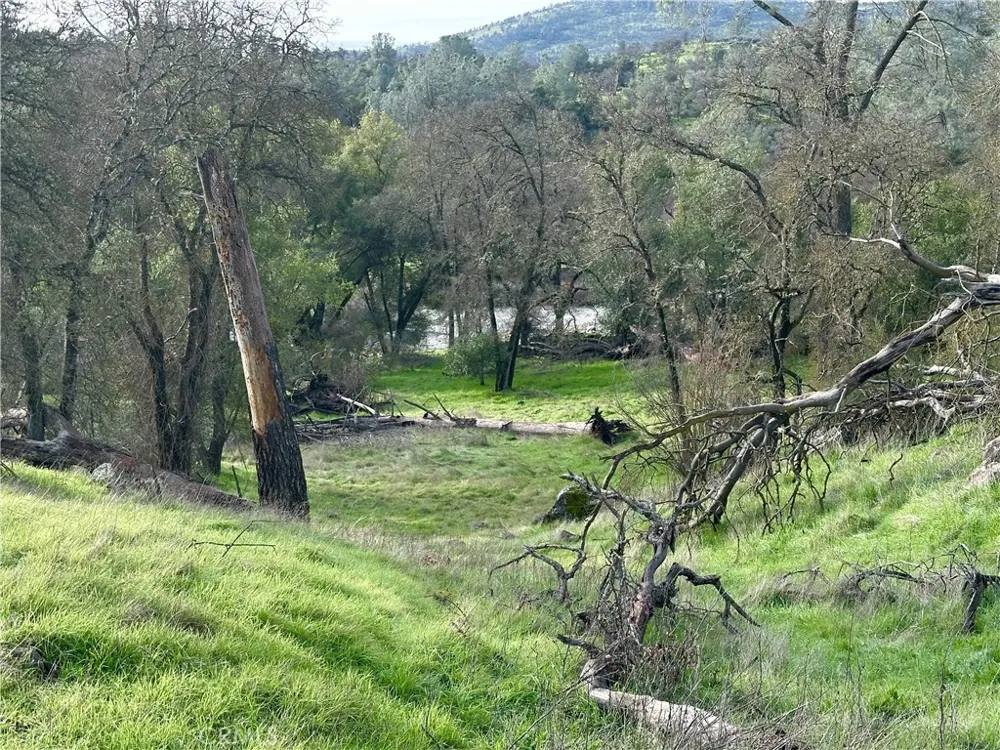 3224 Silver Bush Place Catheys Valley, CA 95306