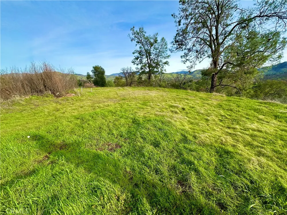 3224 Silver Bush Place Catheys Valley, CA 95306