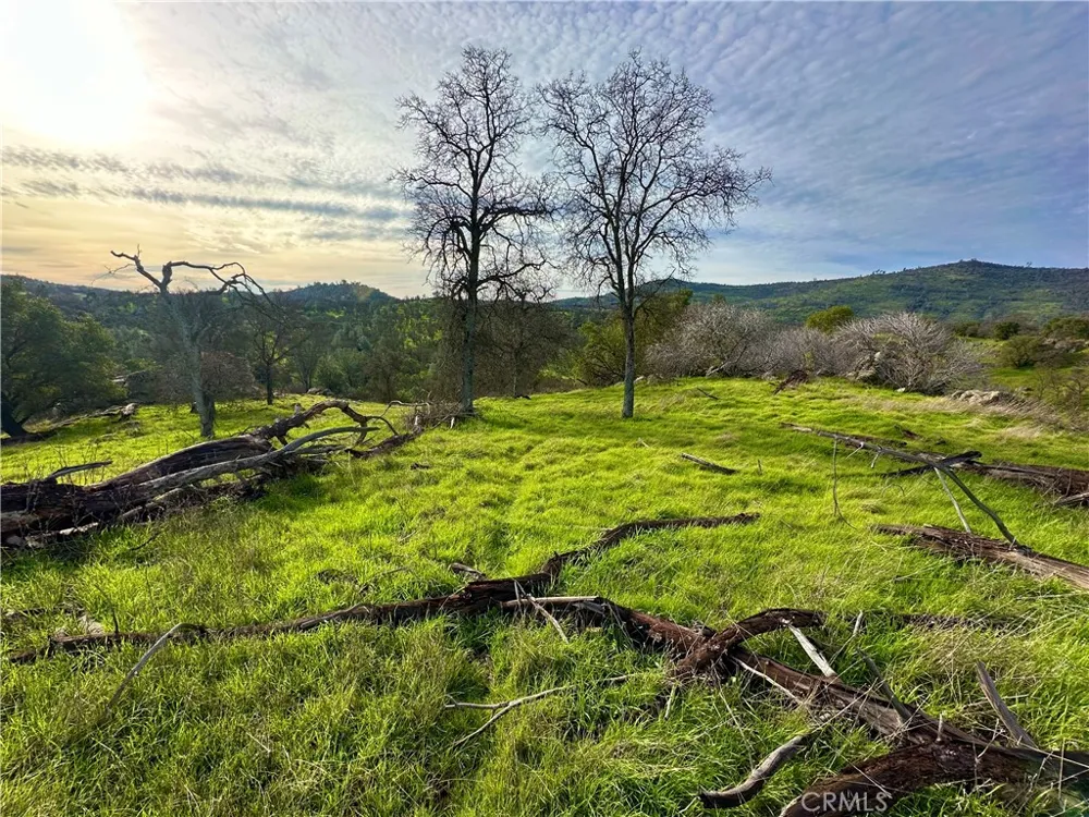 3224 Silver Bush Place Catheys Valley, CA 95306