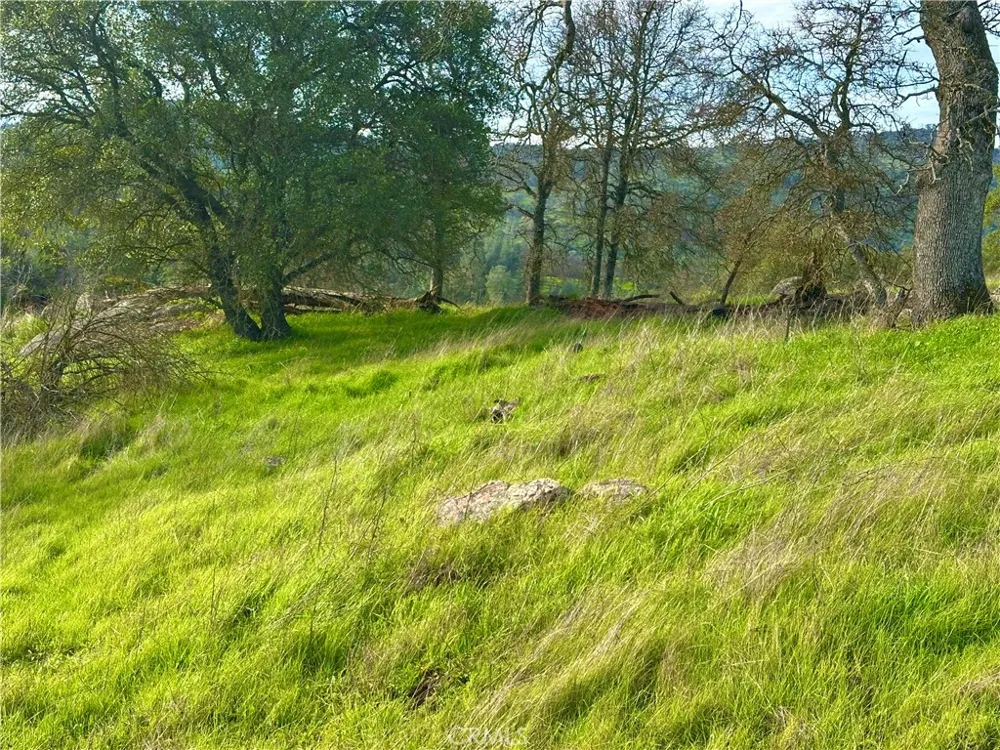3224 Silver Bush Place Catheys Valley, CA 95306
