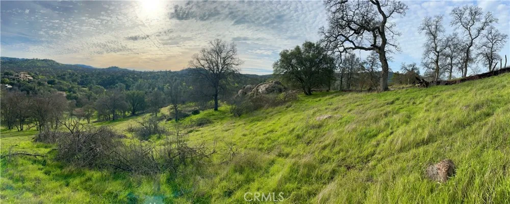 3224 Silver Bush Place Catheys Valley, CA 95306