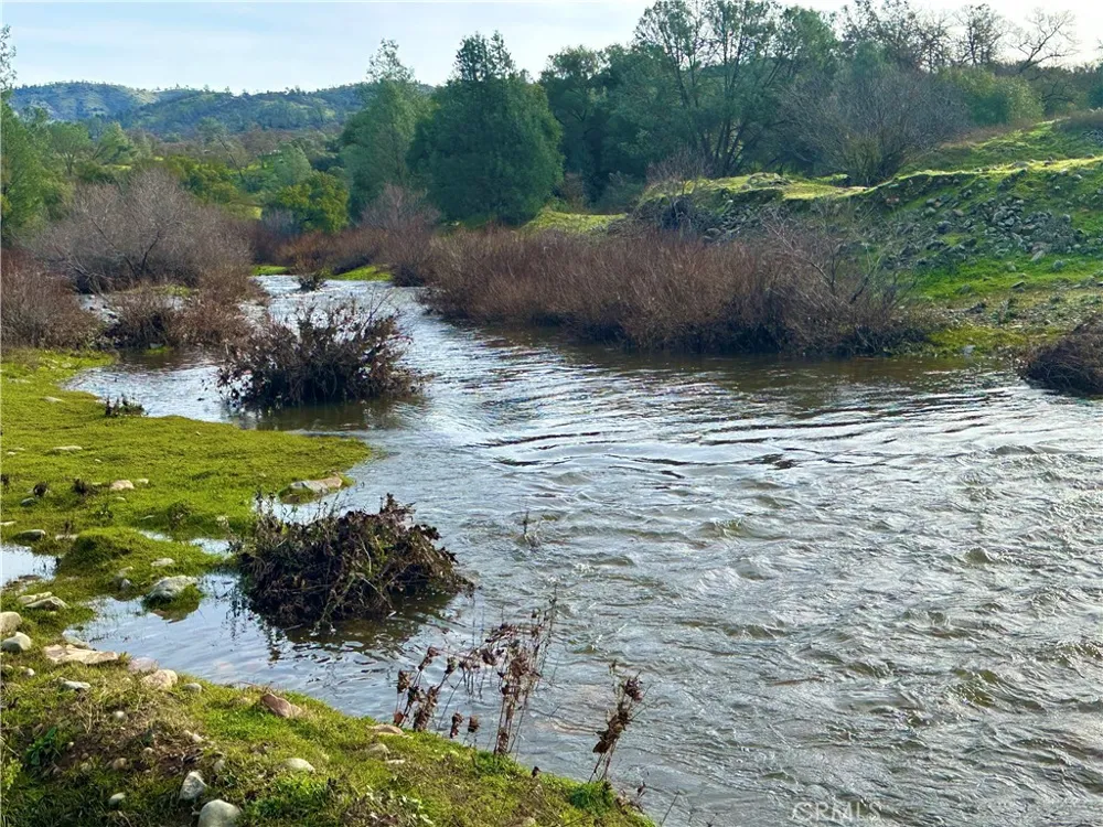 3224 Silver Bush Place Catheys Valley, CA 95306