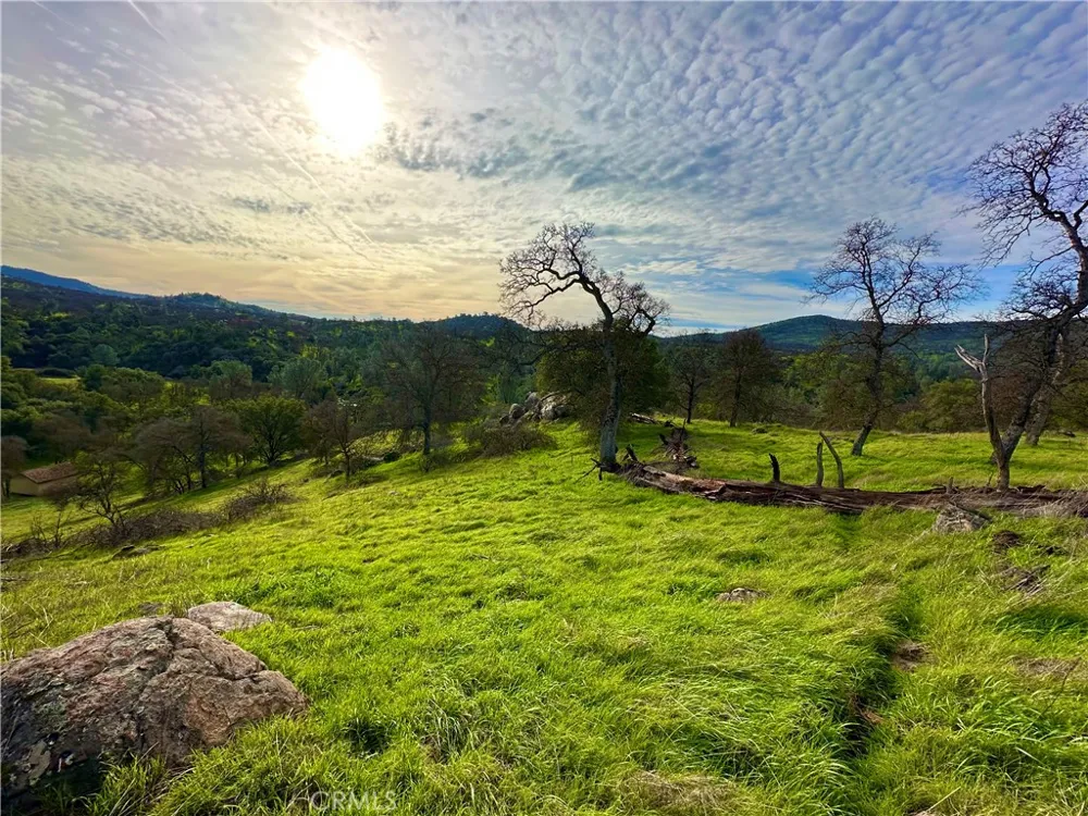 3224 Silver Bush Place Catheys Valley, CA 95306