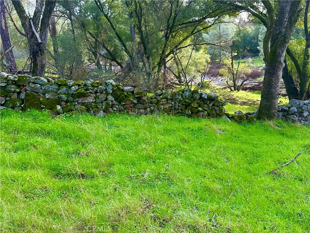 3224 Silver Bush Place Catheys Valley, CA 95306