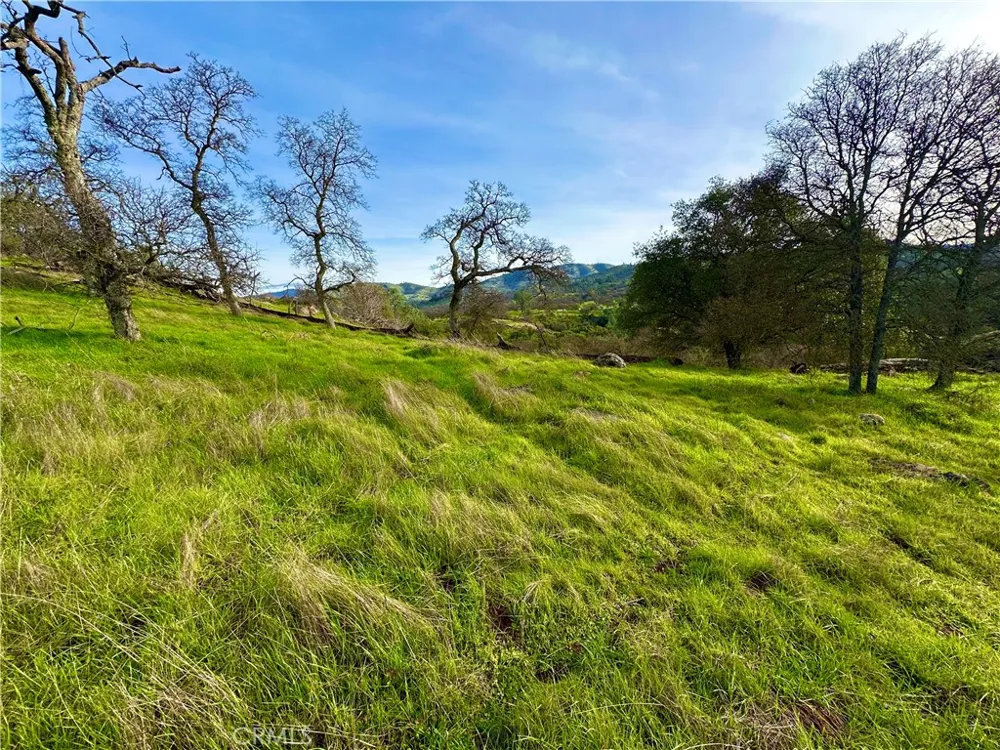 3224 Silver Bush Place Catheys Valley, CA 95306