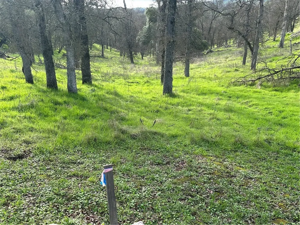 3224 Silver Bush Place Catheys Valley, CA 95306