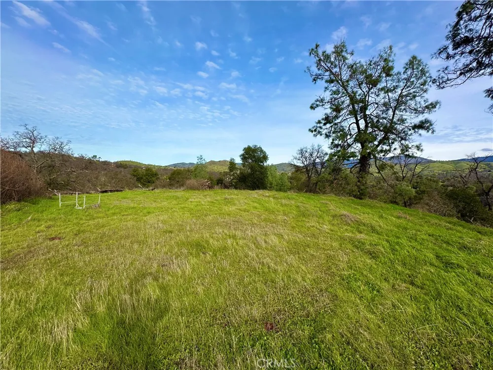 3224 Silver Bush Place Catheys Valley, CA 95306