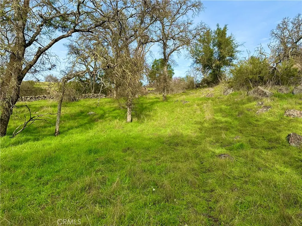 3224 Silver Bush Place Catheys Valley, CA 95306