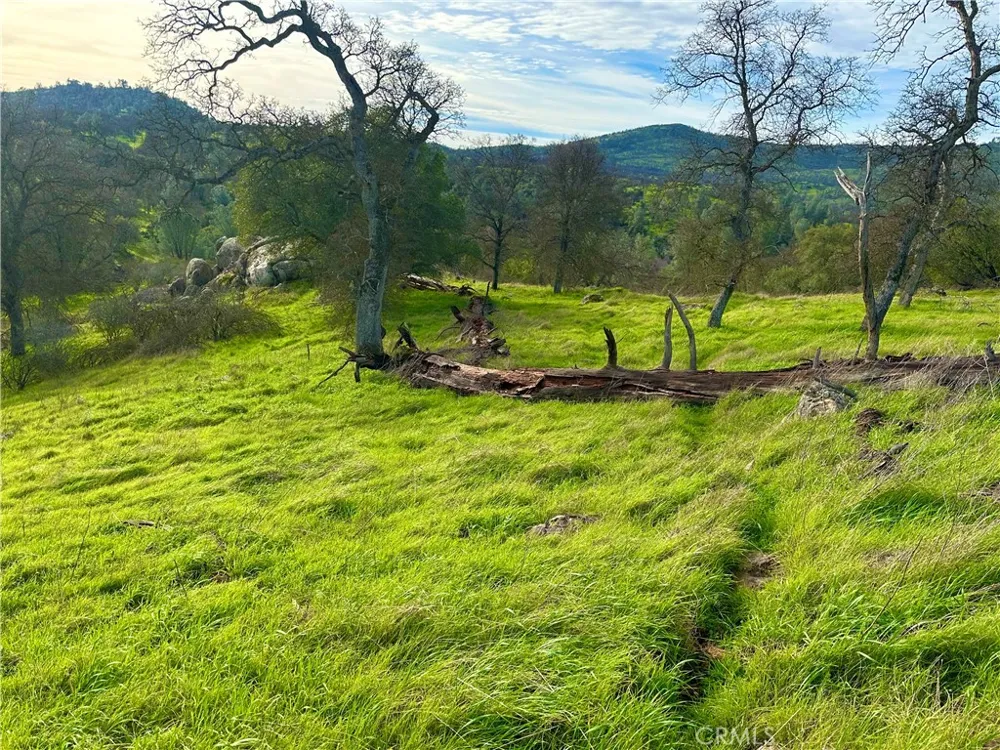 3224 Silver Bush Place Catheys Valley, CA 95306