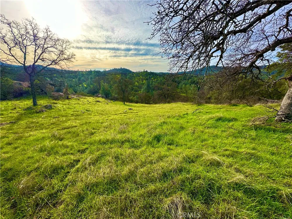 3224 Silver Bush Place Catheys Valley, CA 95306