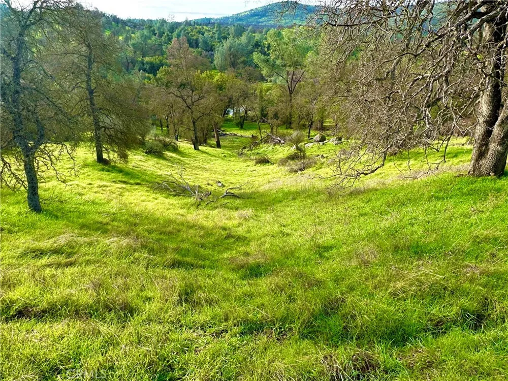 3224 Silver Bush Place Catheys Valley, CA 95306