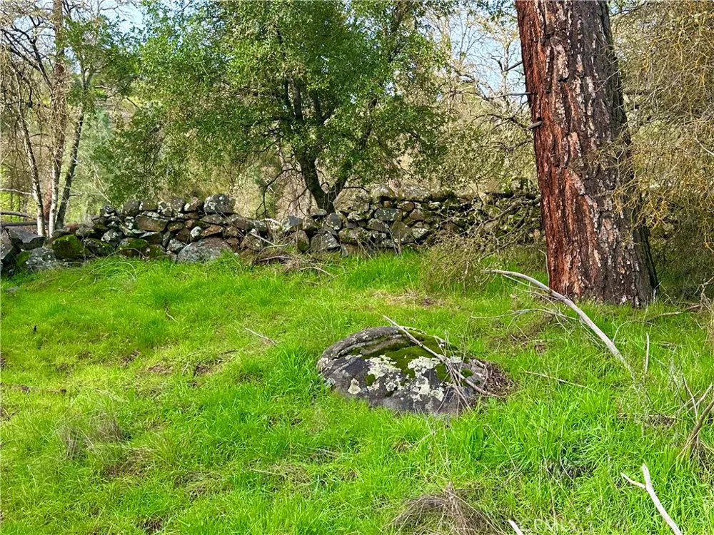3224 Silver Bush Place Catheys Valley, CA 95306