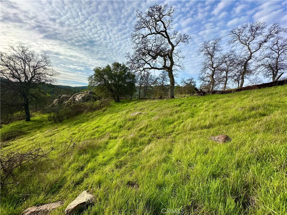 3224 Silver Bush Place Catheys Valley, CA 95306