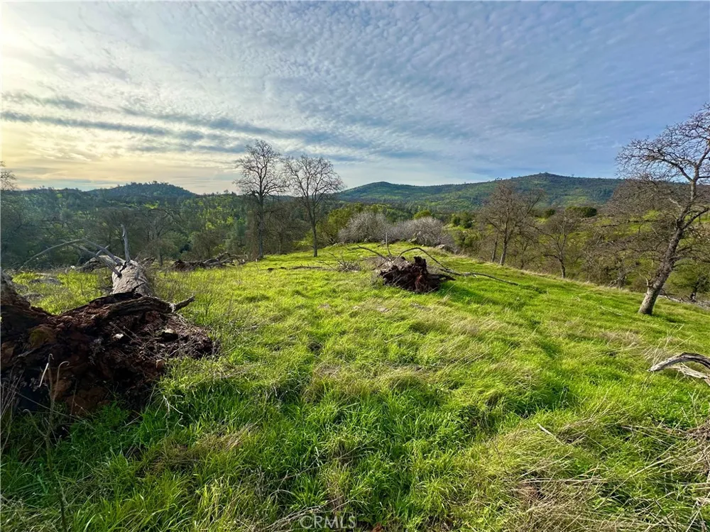 3224 Silver Bush Place Catheys Valley, CA 95306