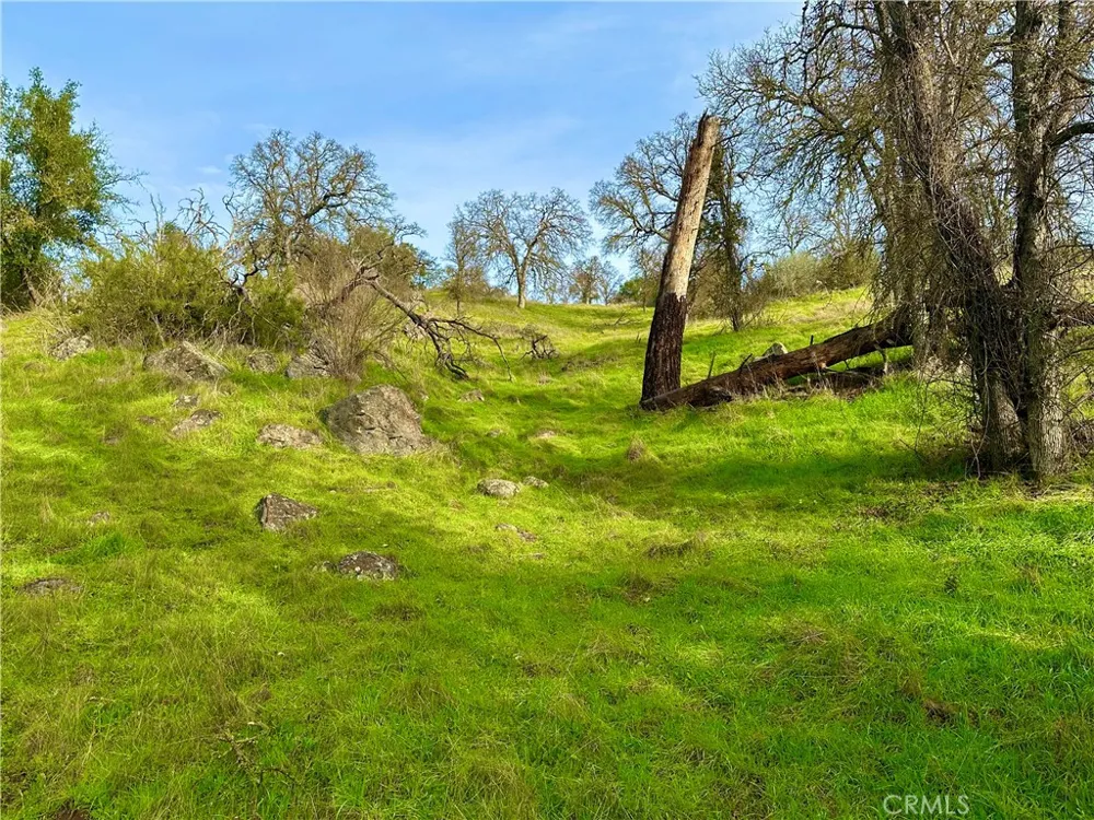 3224 Silver Bush Place Catheys Valley, CA 95306
