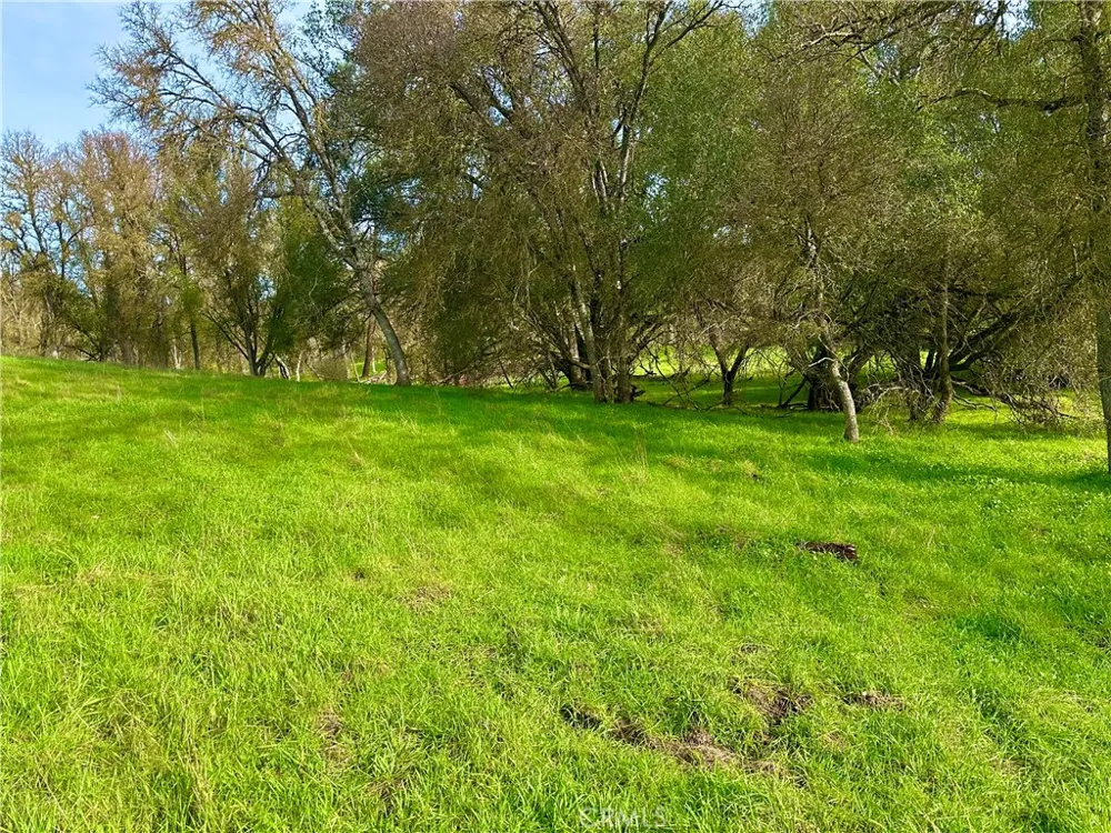 3224 Silver Bush Place Catheys Valley, CA 95306
