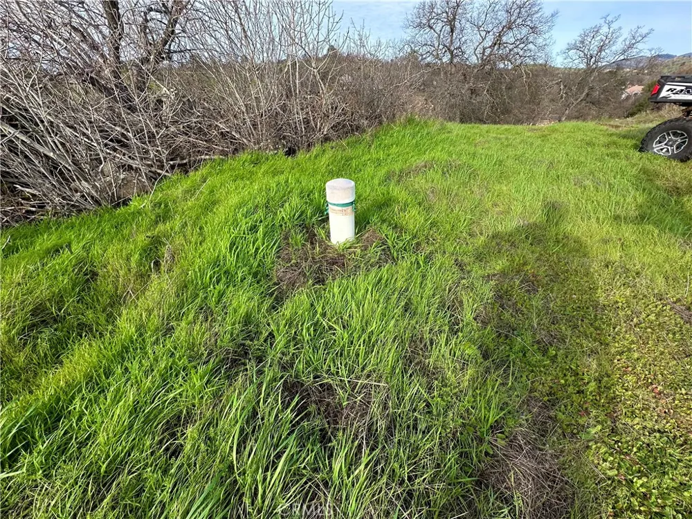 3224 Silver Bush Place Catheys Valley, CA 95306