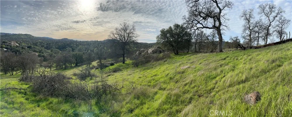 3224 Silver Bush Place Catheys Valley, CA 95306