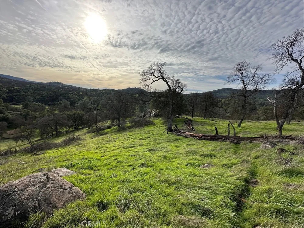 3224 Silver Bush Place Catheys Valley, CA 95306