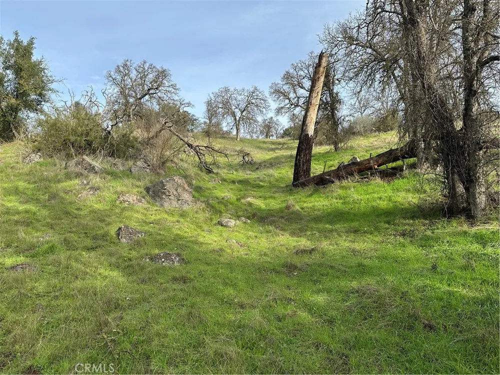 3224 Silver Bush Place Catheys Valley, CA 95306