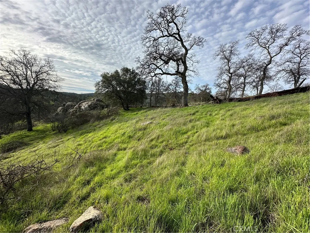 3224 Silver Bush Place Catheys Valley, CA 95306