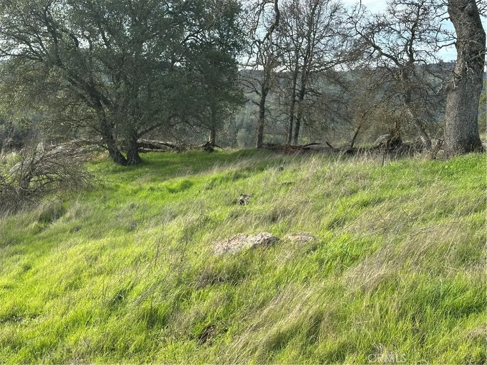 3224 Silver Bush Place Catheys Valley, CA 95306