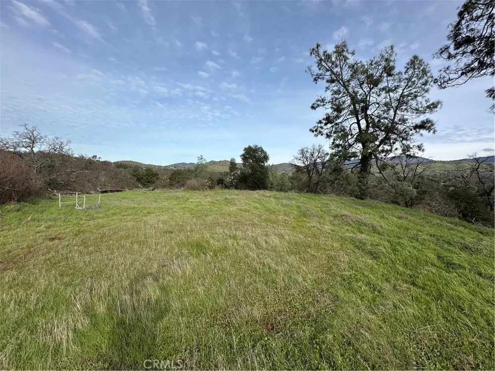 3224 Silver Bush Place Catheys Valley, CA 95306
