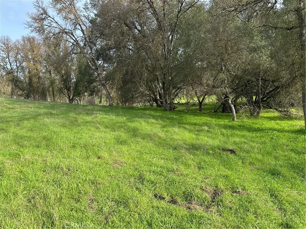 3224 Silver Bush Place Catheys Valley, CA 95306