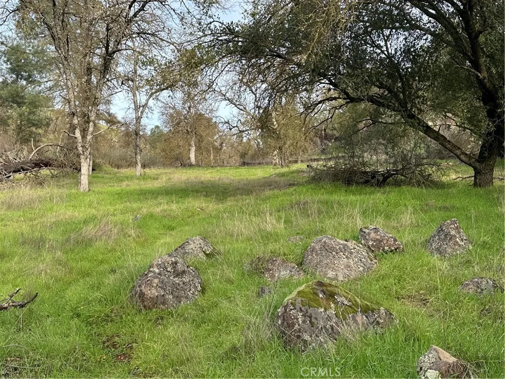 3224 Silver Bush Place Catheys Valley, CA 95306
