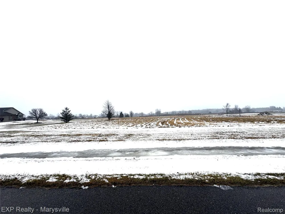 1 Putt-R Drive Mussey Township, MI 48014