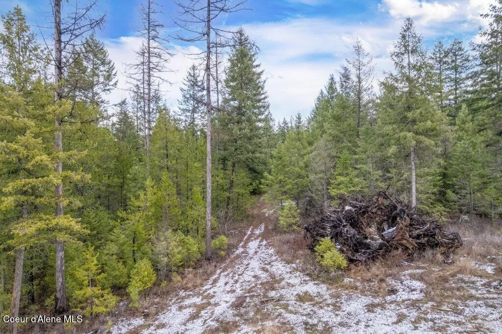 35430 St Joe Drive Spirit Lake, ID 83869