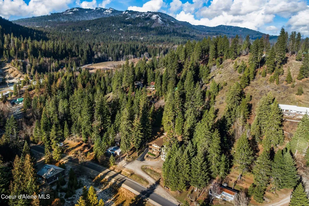 21 Midlake Drive Sagle, ID 83860