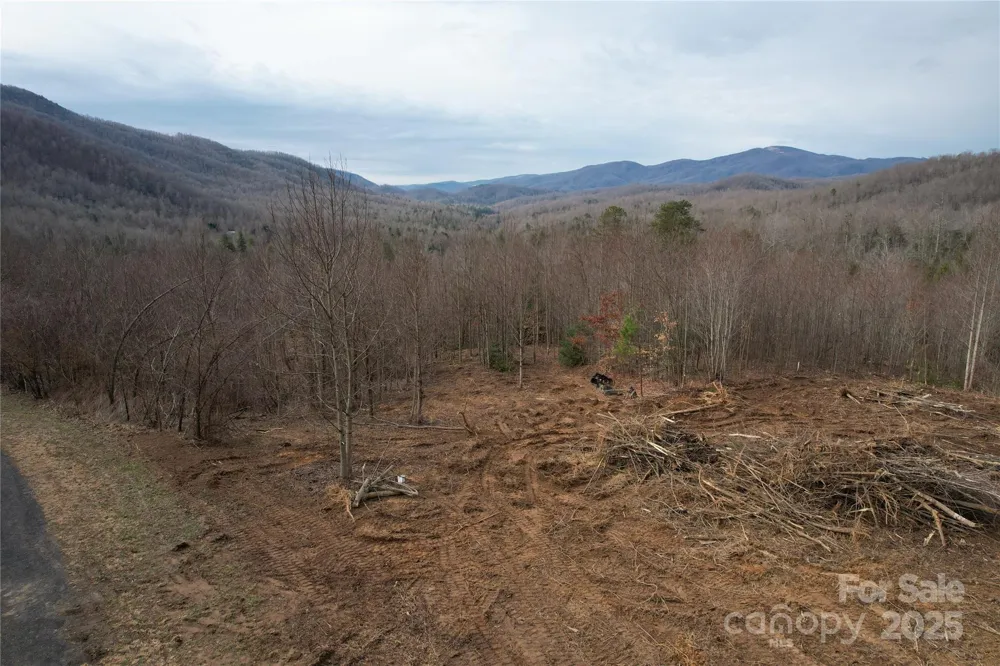 55 Major Mountain Road Black Mountain, NC 28711